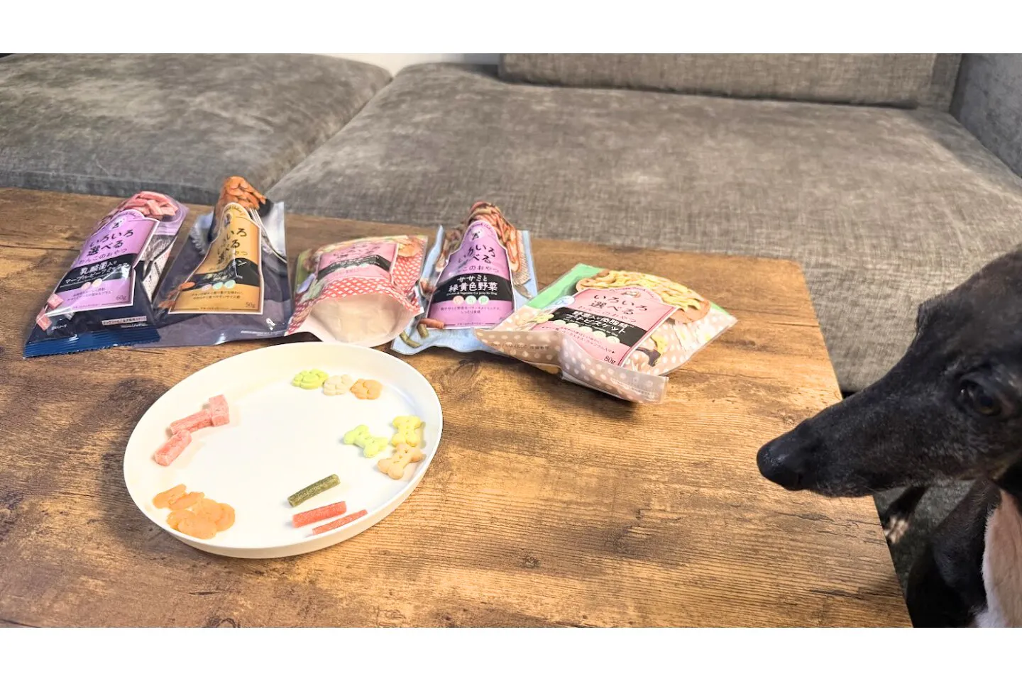 ひとつのお皿にクッキーやビスケットを並べた状態