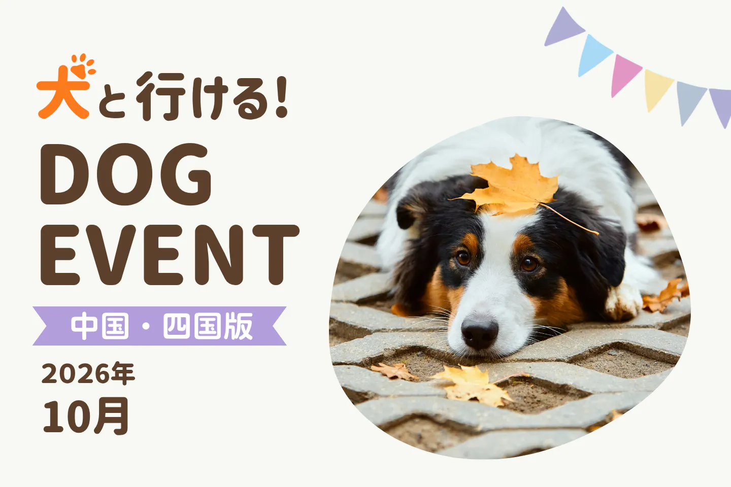 【2026年10月中国・四国版】今日・今週末の犬イベント・ドッグイベント一覧｜広島・岡山・香川・山口