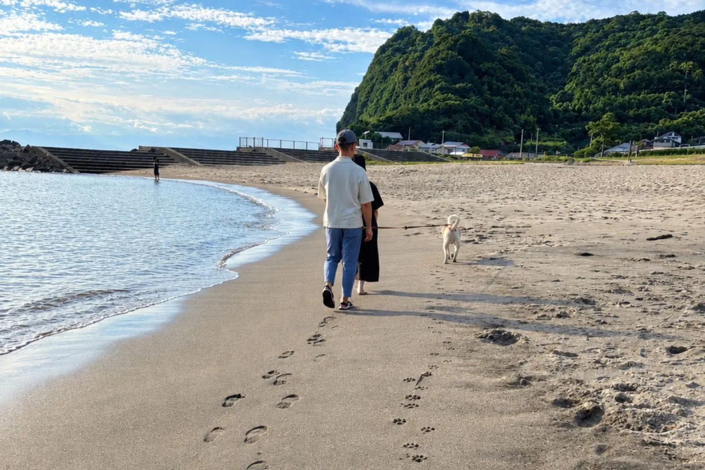 海岸を散歩するウォンカ 海岸を散歩するウォンカ