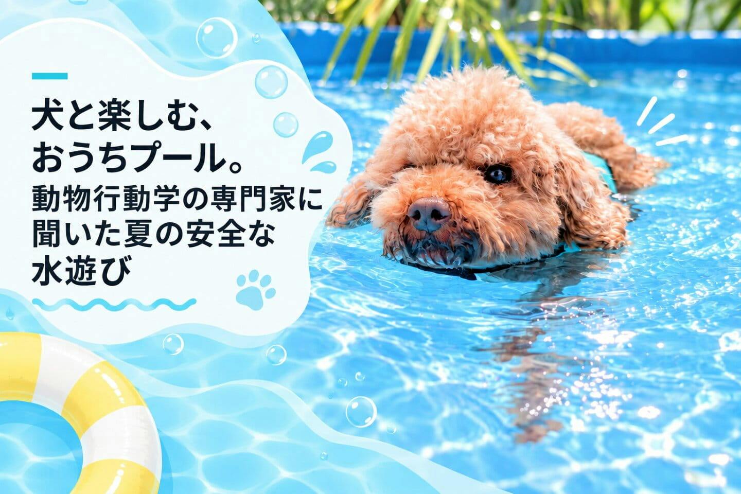 犬と楽しむ、おうちプール。動物行動学の専門家に聞いた夏の安全な