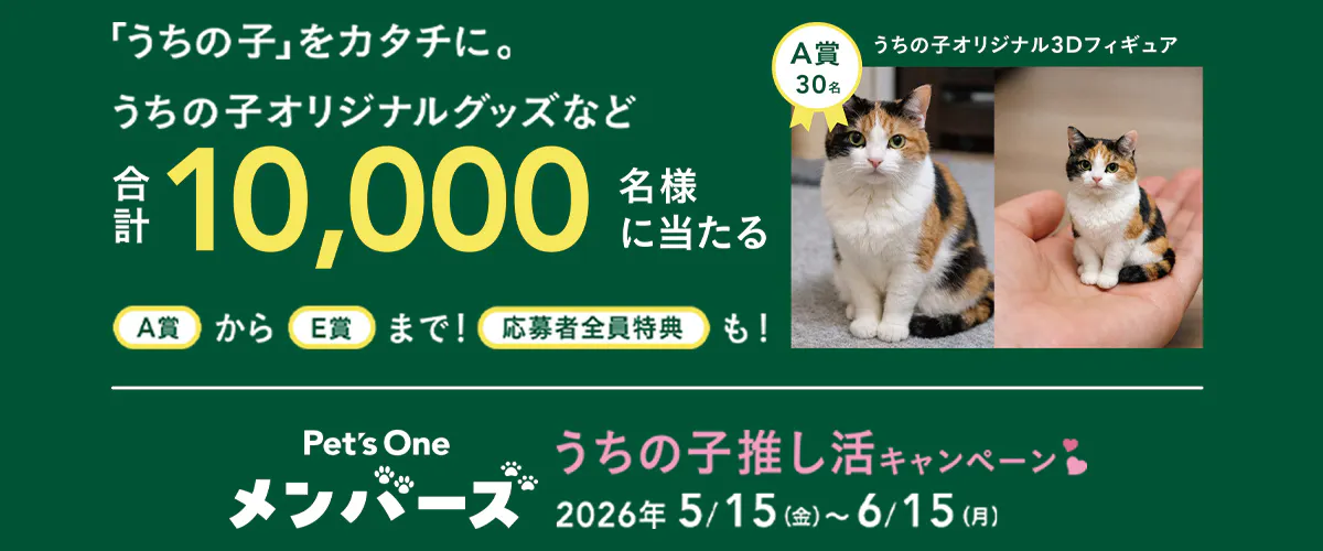 oshikatu